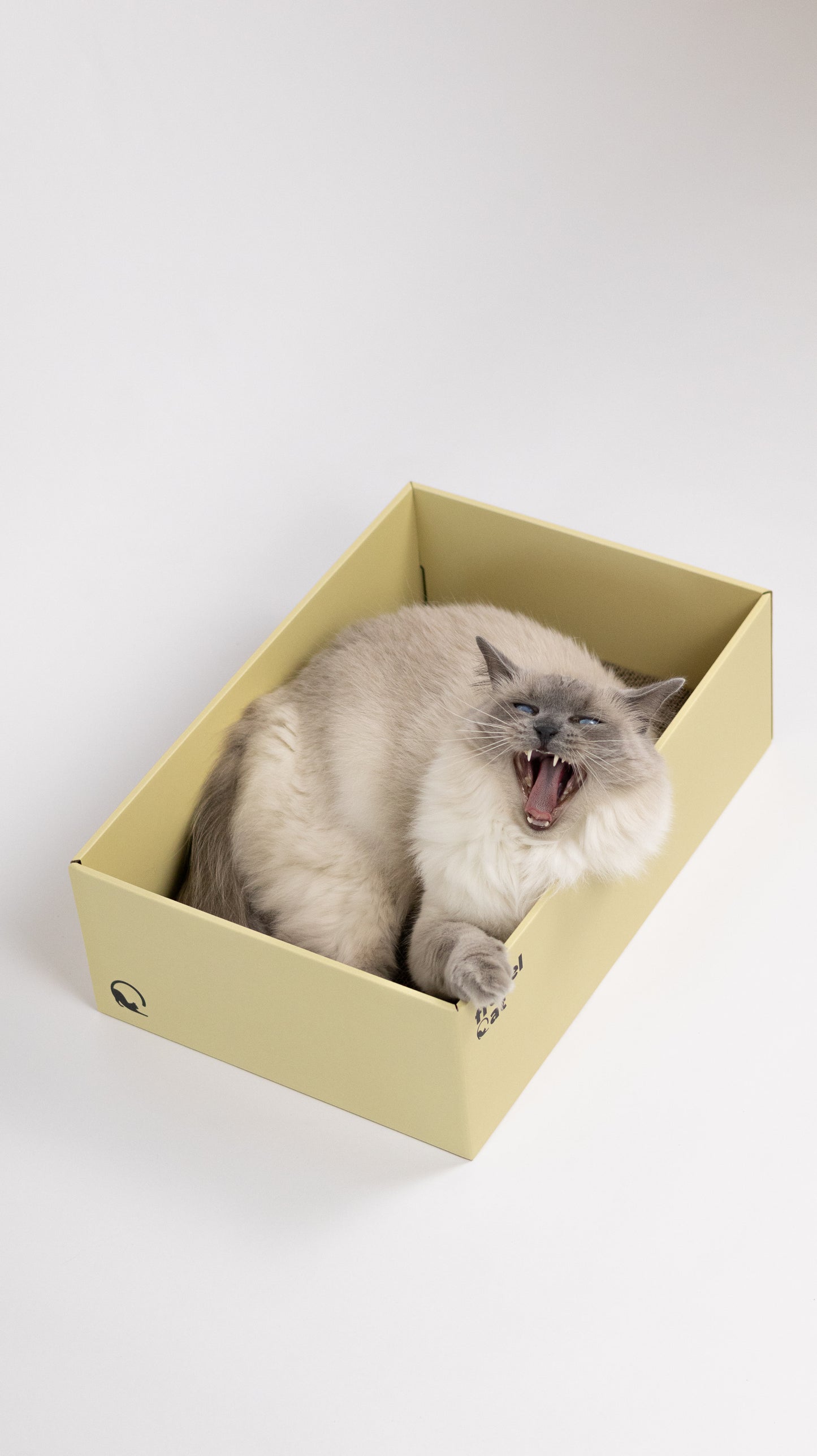 BOX + jeden wkład