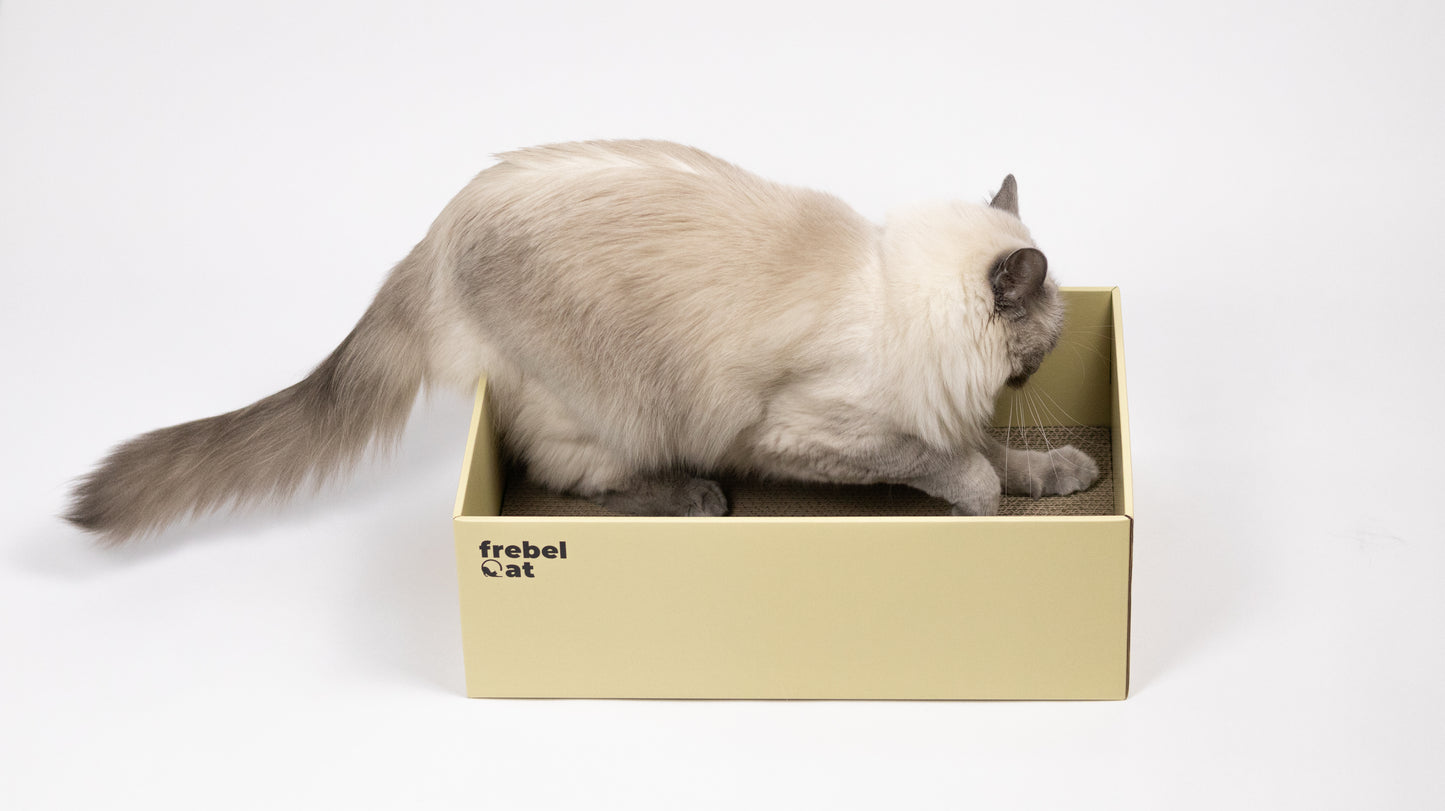 BOX + jeden wkład