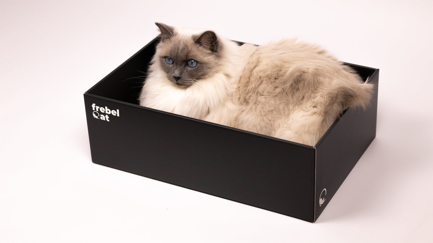 BOX + jeden wkład