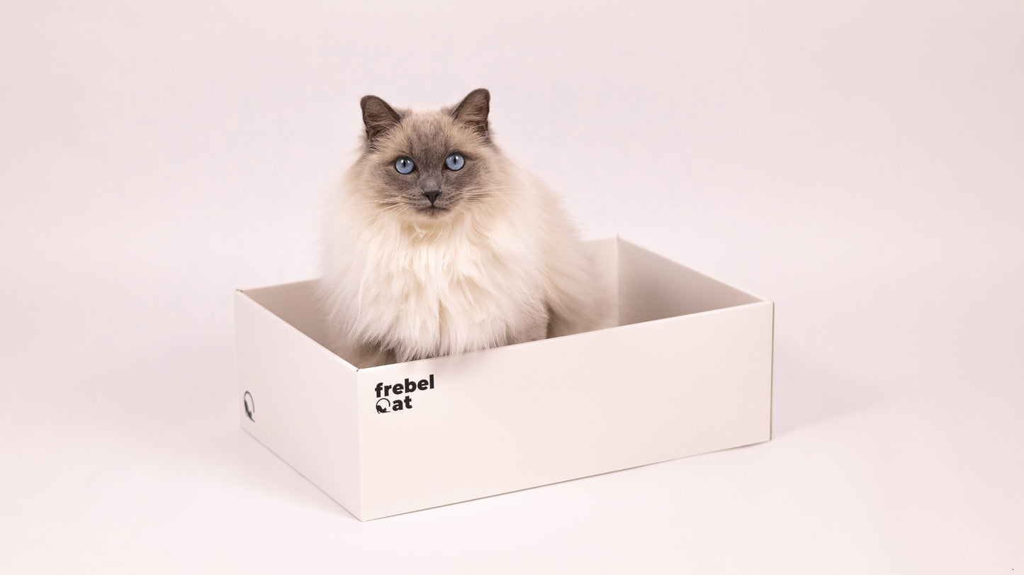 BOX + jeden wkład