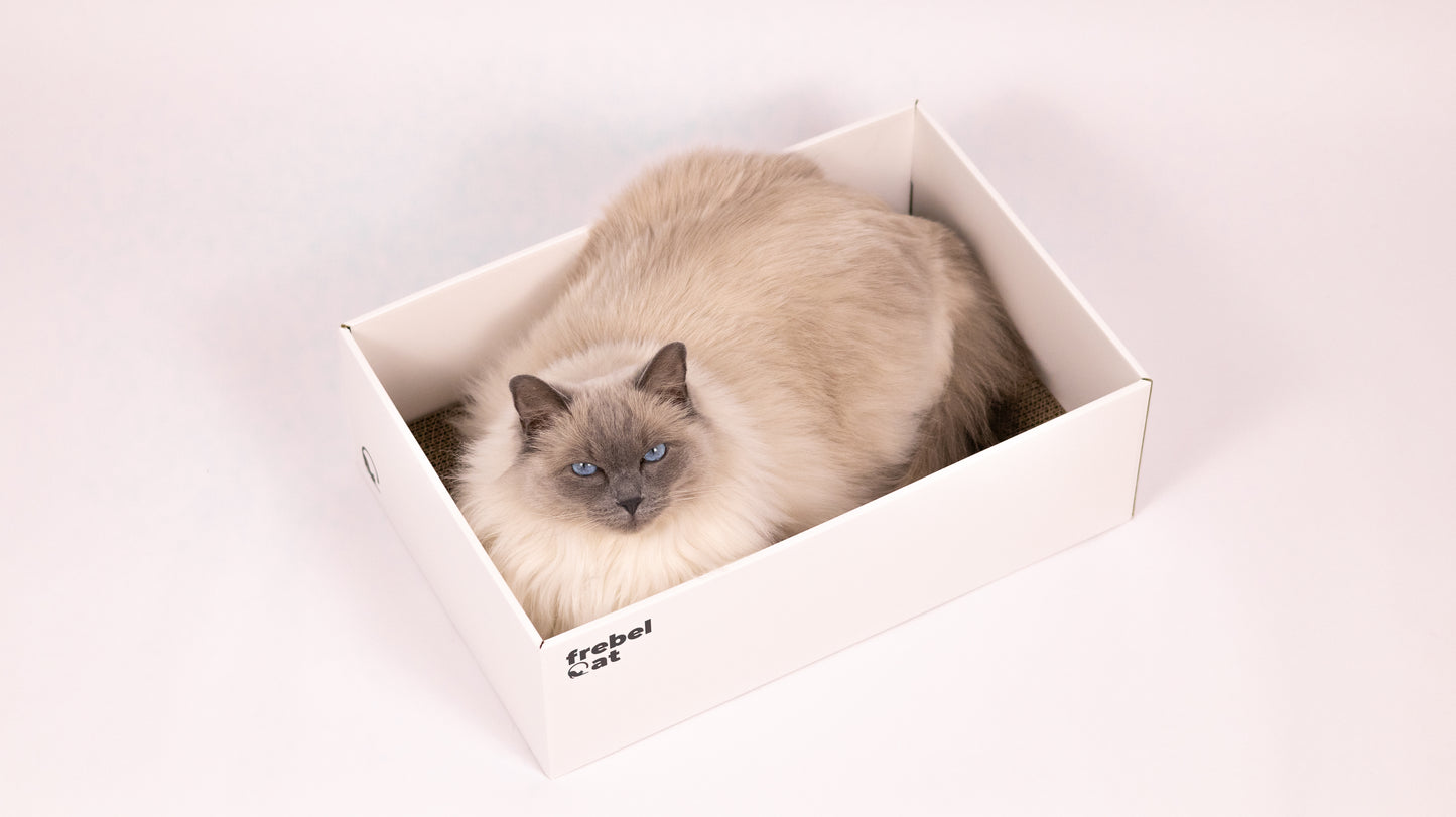 BOX + jeden wkład