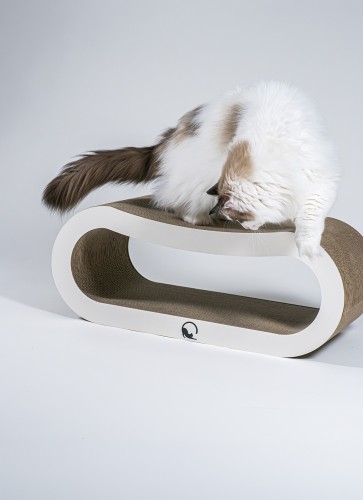 loop-XL-white-02.jpg