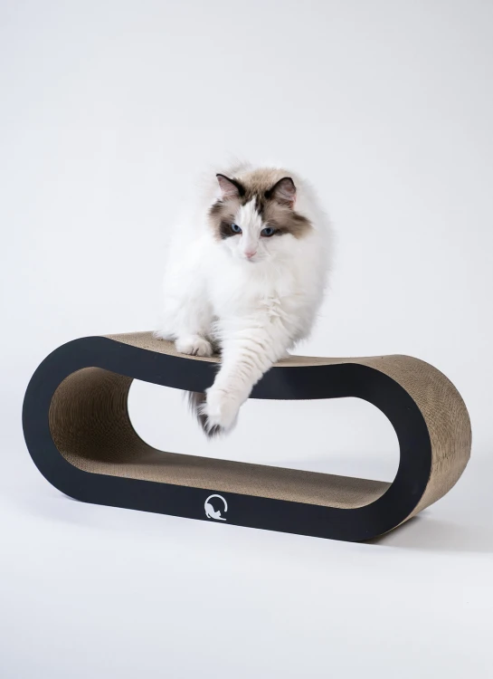 loop-XL-black-02.jpg