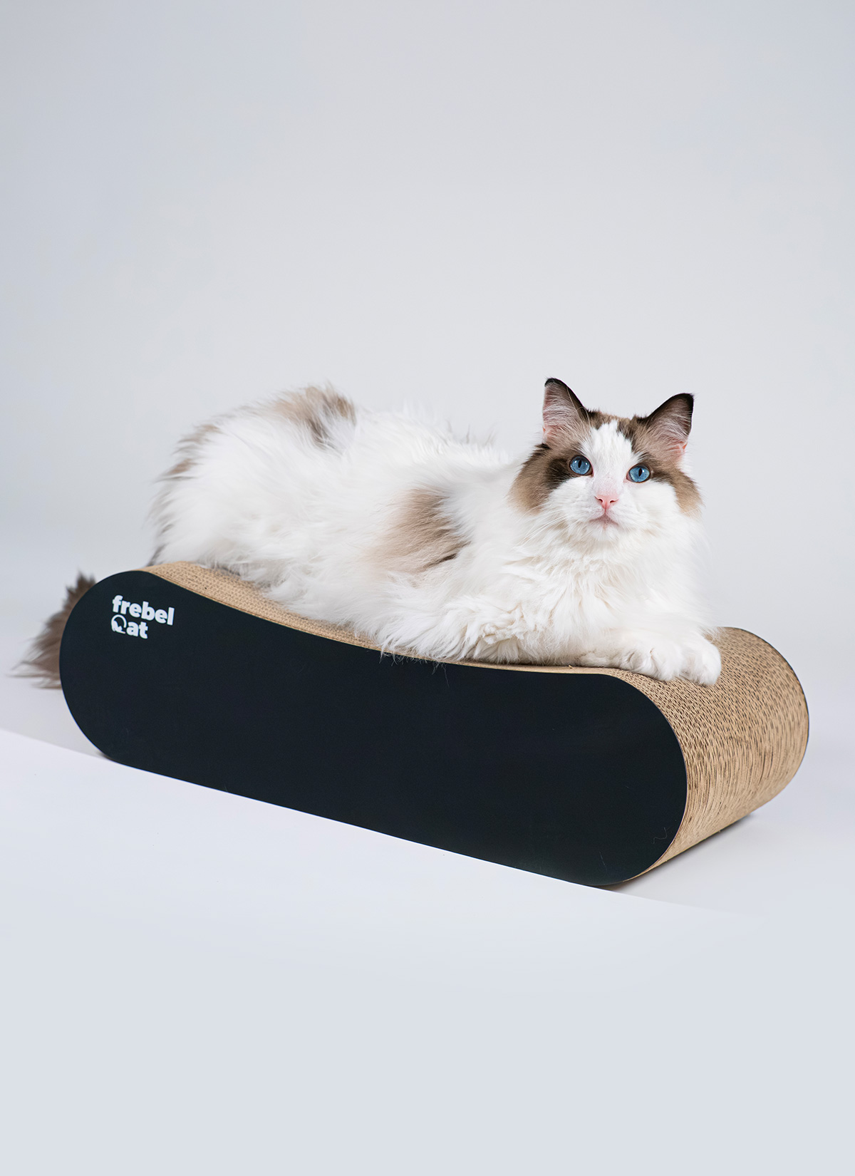 loop-L-black-01.jpg
